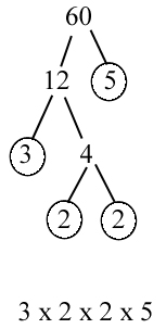 prime factorization copy
